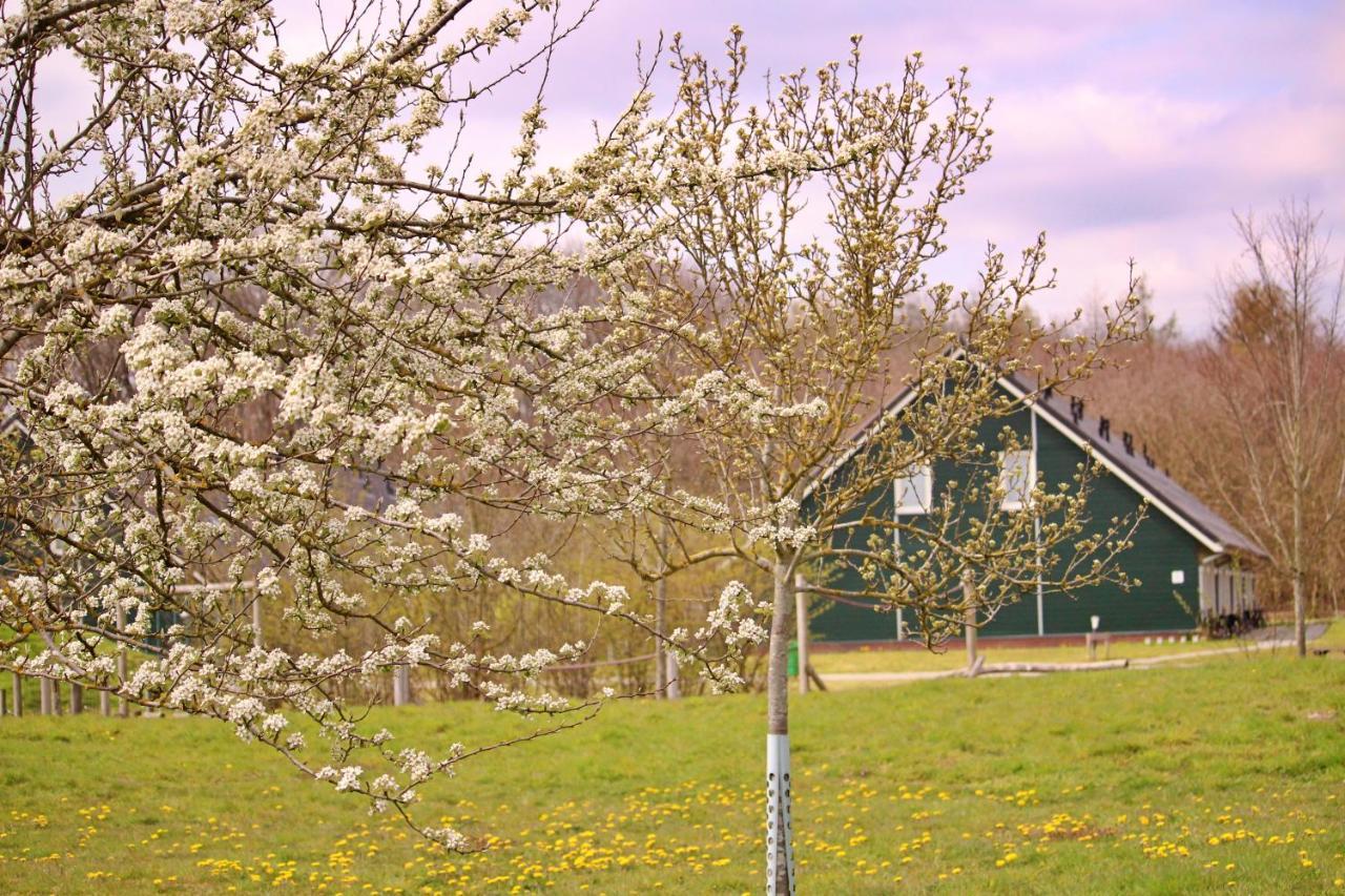Horsetellerie Rheezerveen Hardenberg Exterior foto